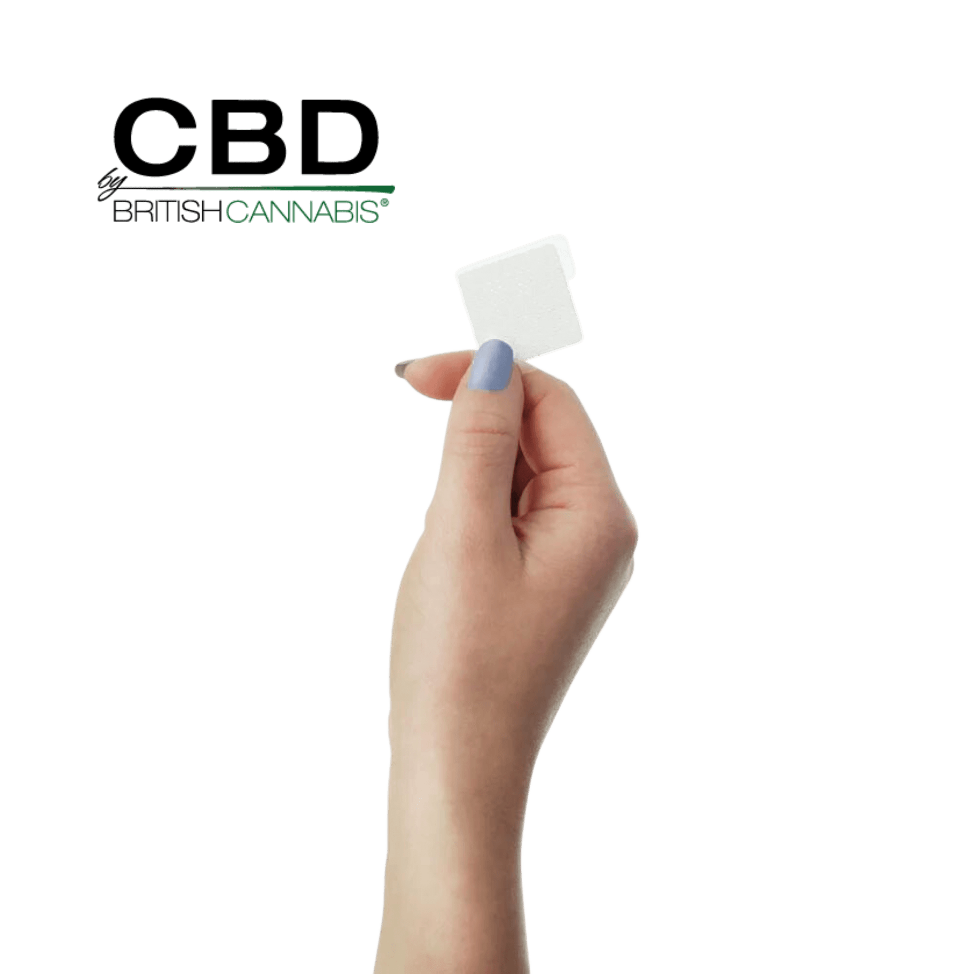 CBD by British Cannabis CBD Dermal Patches 500mg Single patch held by hand