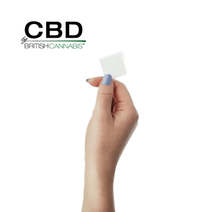 CBD by British Cannabis CBD Dermal Patches 500mg Single patch held by hand